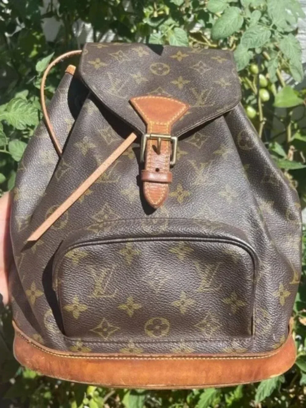 Louis Vuitton LV BackPack Bag Montsouris MM Browns Monogram